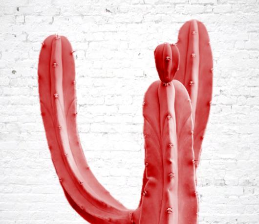 Male Waxing - By Referral Only